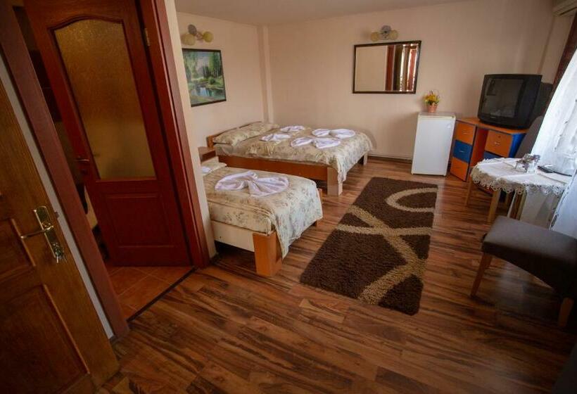 Пансион Vila Tei Guesthouse