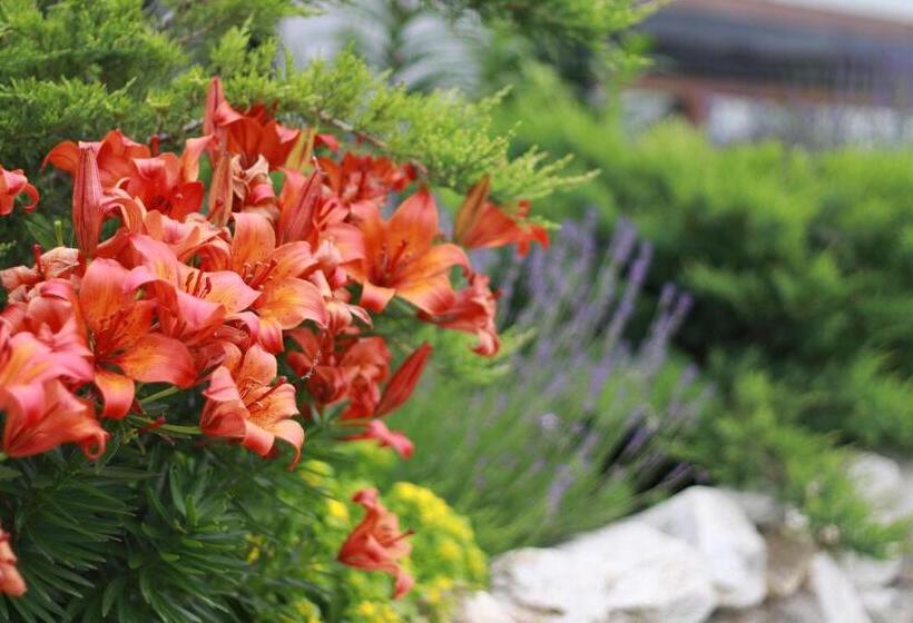 بنسيون Villa Unique