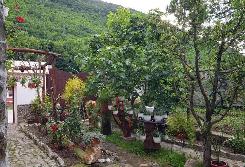 Pensiunea Casa Montana