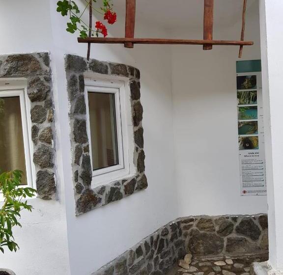 Pensiunea Casa Montana