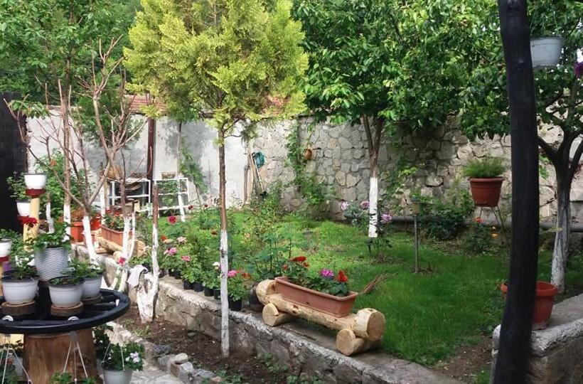 Pensiunea Casa Montana