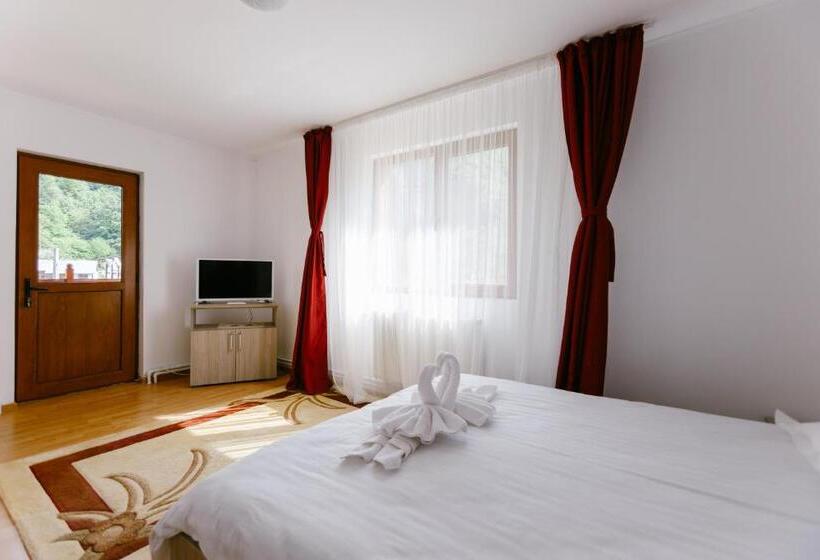 Pensiunea Luka Slanic Moldova