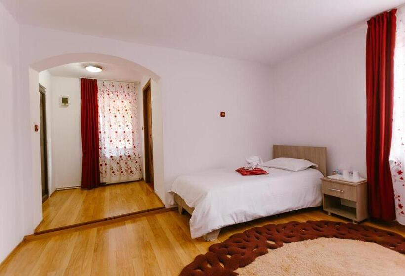 Pensiunea Luka Slanic Moldova