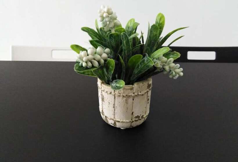 Pj5 Soho Studio Room