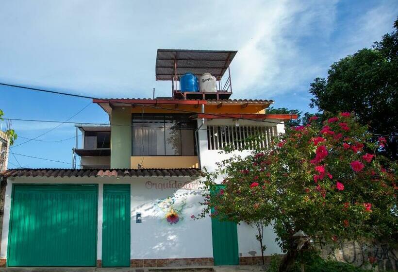 مبيت وإفطار Alojamiento Familiar Orquide@s