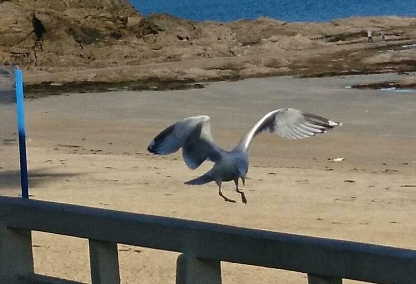 민박 Casa Luz   Chambre D Hôtes   Saint Lunaire