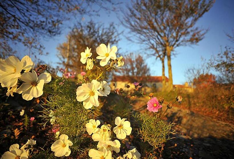 مبيت وإفطار Chevalier Claudio