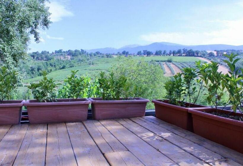 مبيت وإفطار Frontemaja