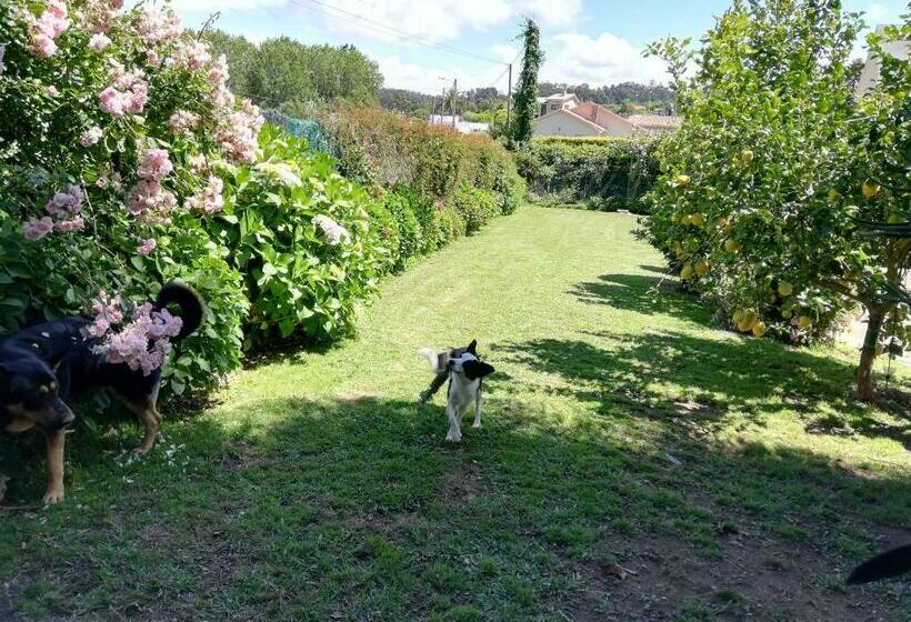 住宿加早餐 Habitacion En Casa De Marisa Y Juan
