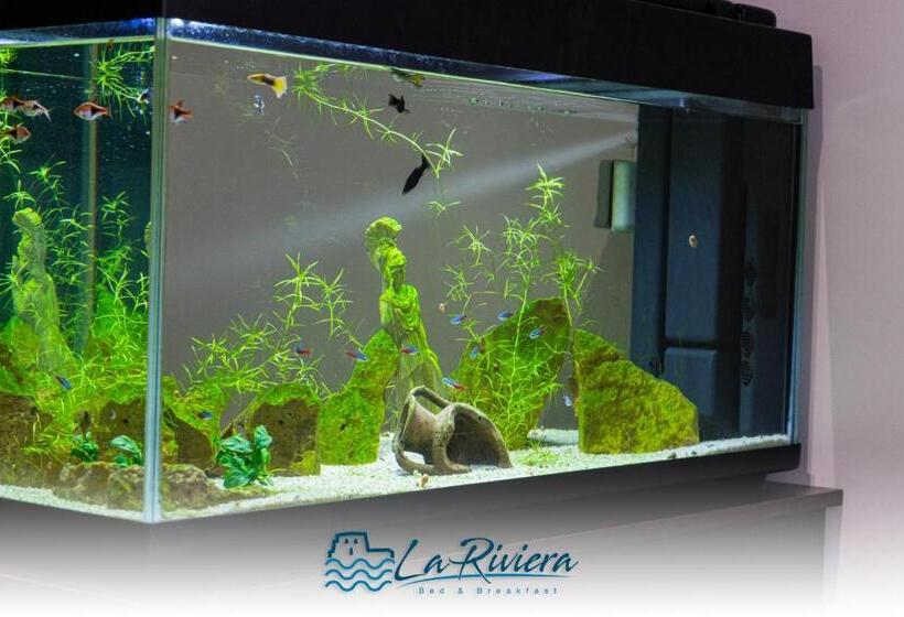 Bed and Breakfast La Riviera