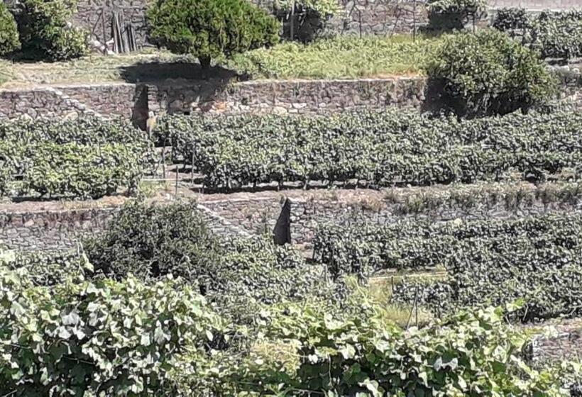 Bed and Breakfast Mito S House & Douro View