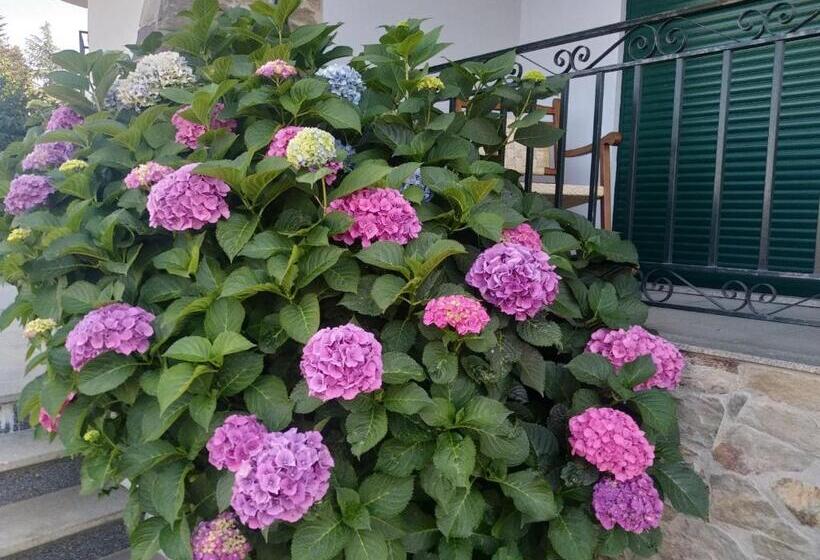 Bed and Breakfast Mito S House & Douro View