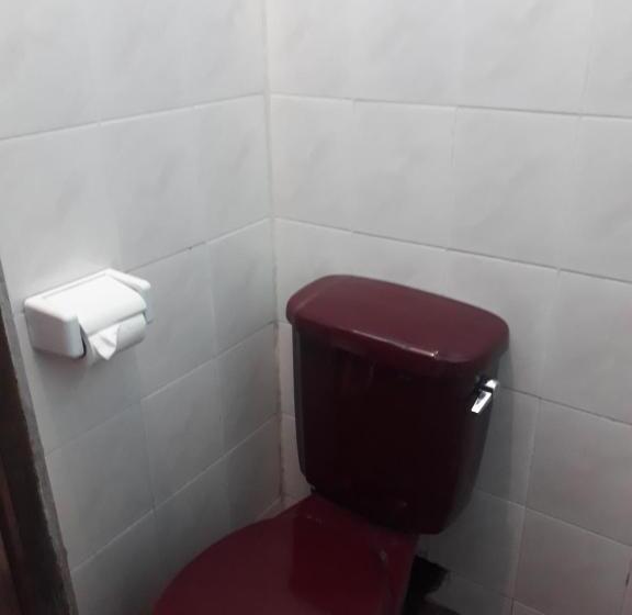 בית מלון כפרי Lava View Lodge