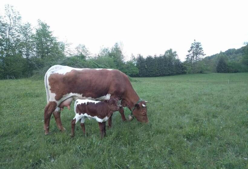 هتل Pužman Farm Glamping