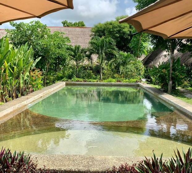 酒店 Three Little Birds Resort