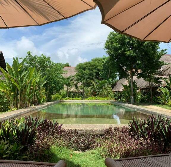 酒店 Three Little Birds Resort