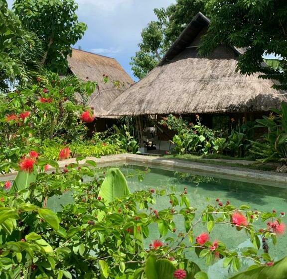 酒店 Three Little Birds Resort