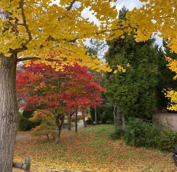 ペンション 花沢民宿