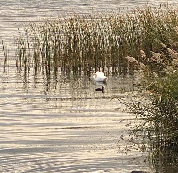 ペンション 花沢民宿
