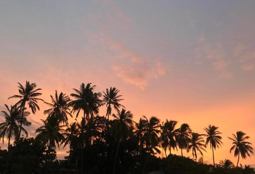 ペンション Akki S Hostel