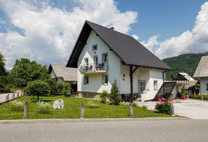 پانسیون Apartment Wolf