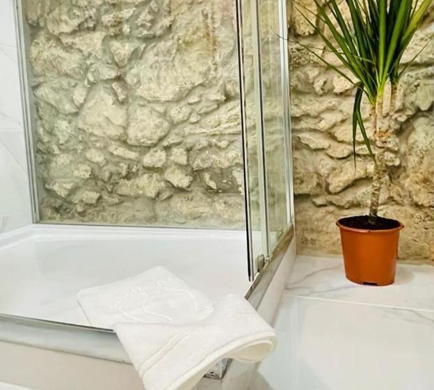 بنسيون Big House