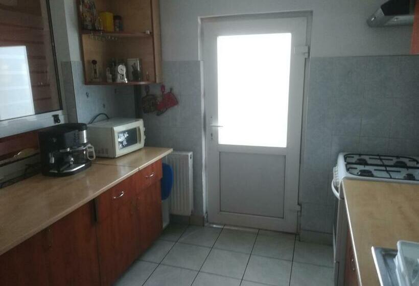 ペンション Casa Alina