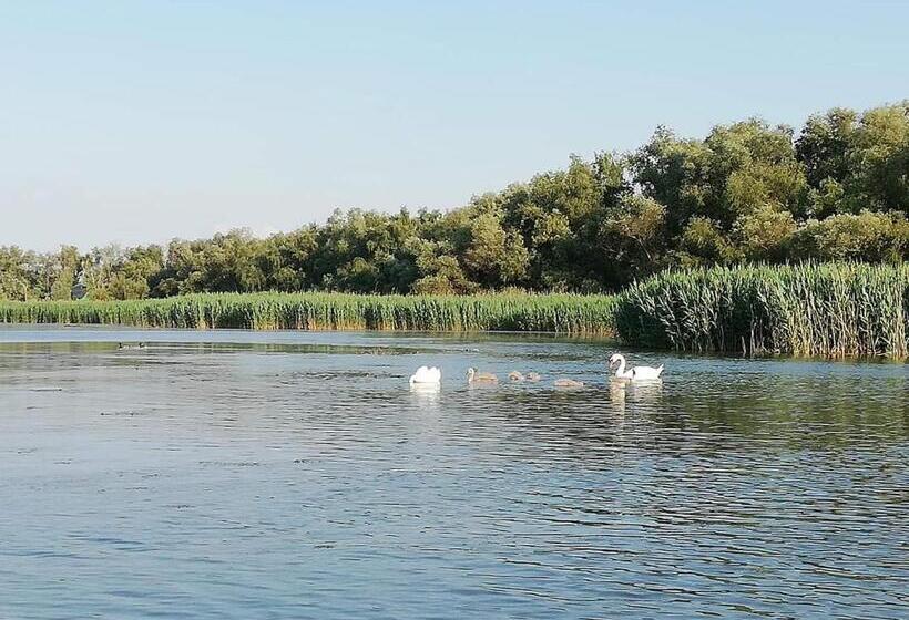 Пансион Casa Iris Murighiol