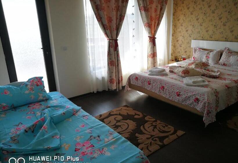 Пансион Casa Iris Murighiol