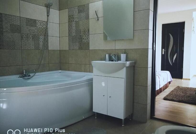 Пансион Casa Iris Murighiol