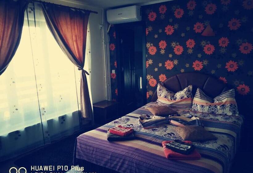 Пансион Casa Iris Murighiol