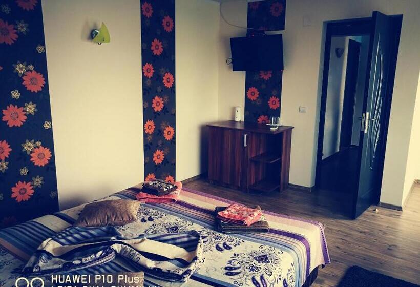 Пансион Casa Iris Murighiol