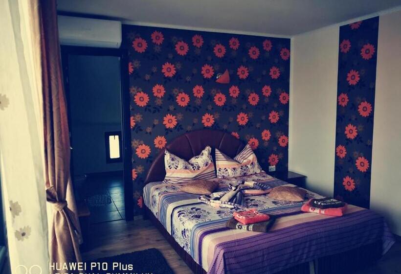 Пансион Casa Iris Murighiol