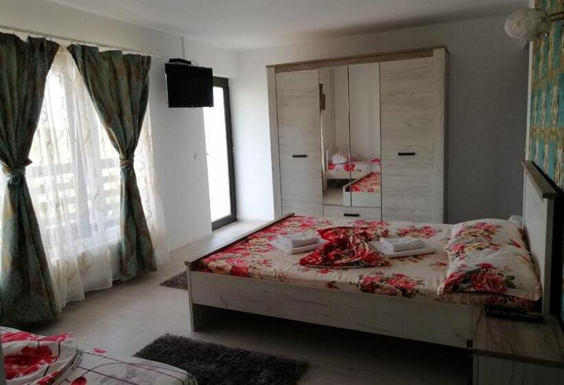 Пансион Casa Iris Murighiol