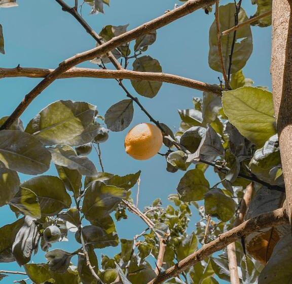 بنسيون Casa Mar   B&b