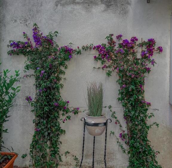 بنسيون Casa Mar   B&b