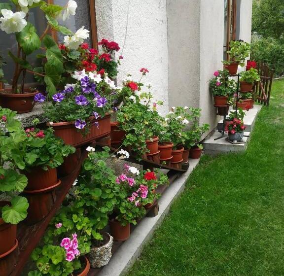 פנסיון Guest House Emmy