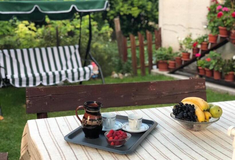 פנסיון Guest House Emmy