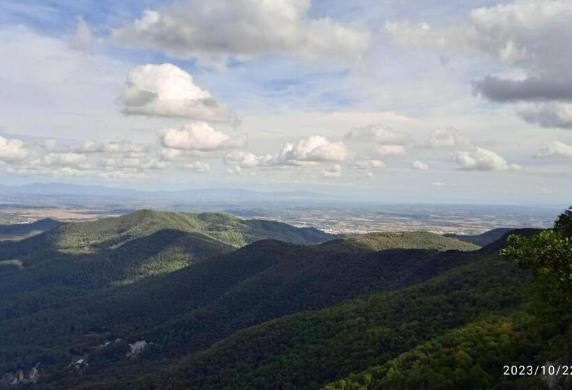 پانسیون La Terraza