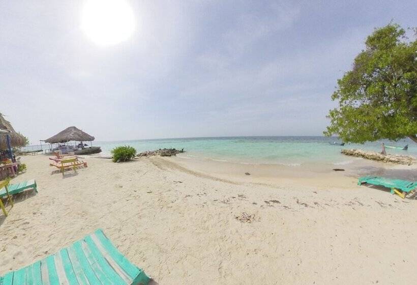 ペンション Puerto Caracol Isla Múcura