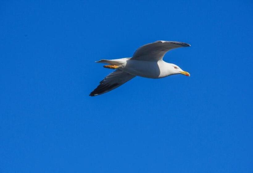 پانسیون Vela D’oro