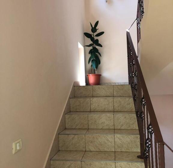 بنسيون Vila Corina