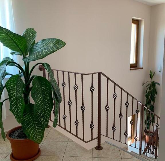 بنسيون Vila Corina