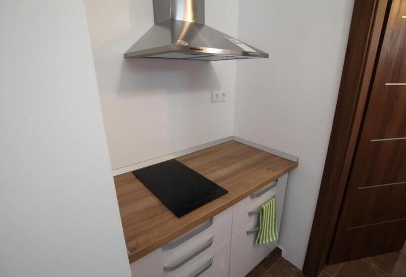 פנסיון Vila Maria Băile Felix