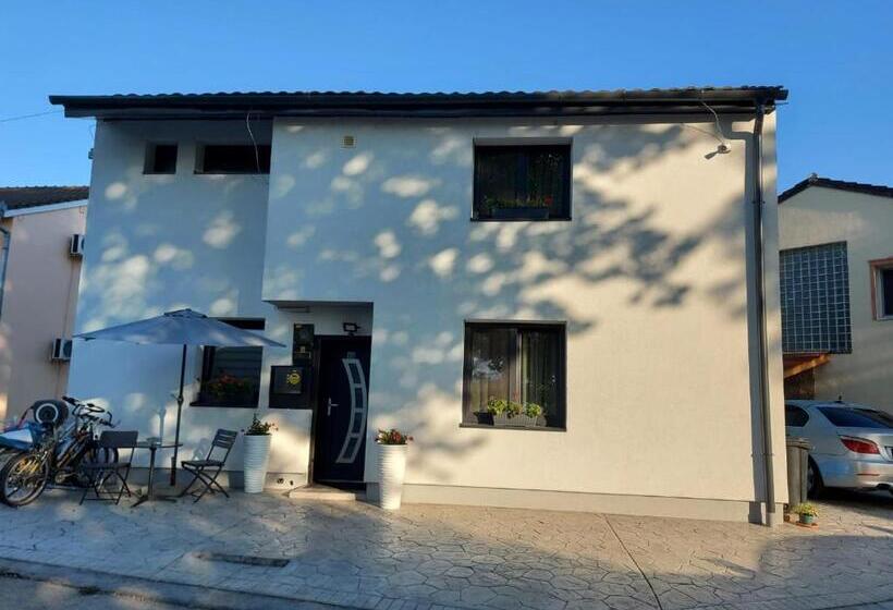 פנסיון Vila Maria Băile Felix