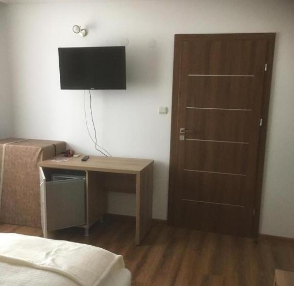 פנסיון Vila Maria Băile Felix