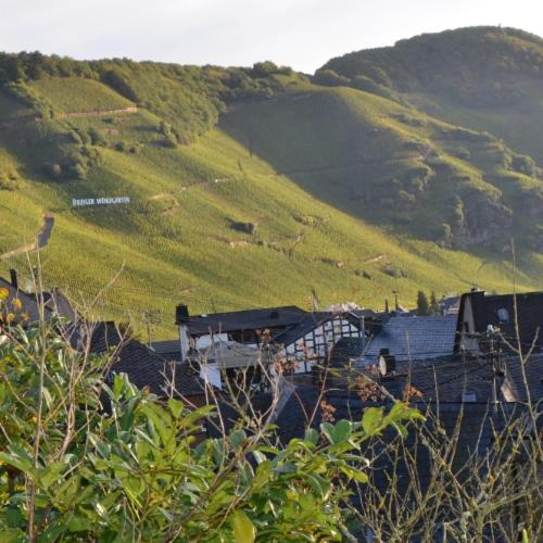 膳宿费 Weingut Erbes Henn