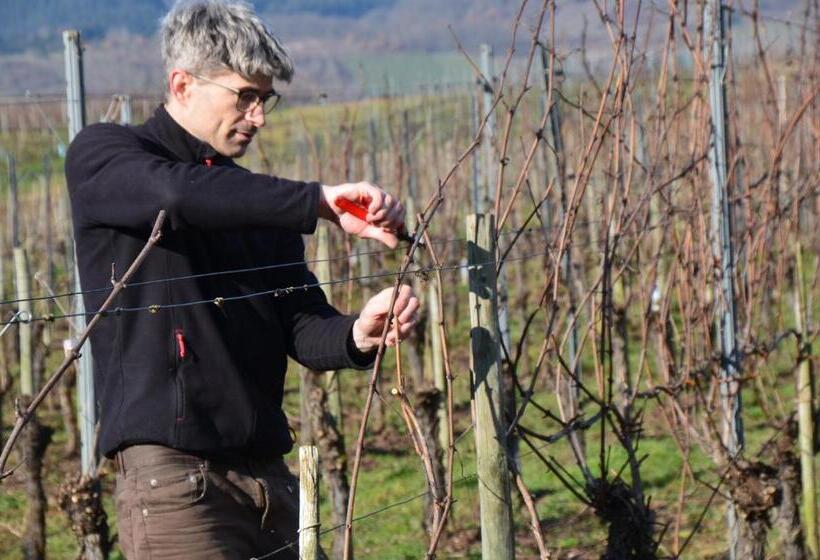 ペンション Weingut Erbes Henn