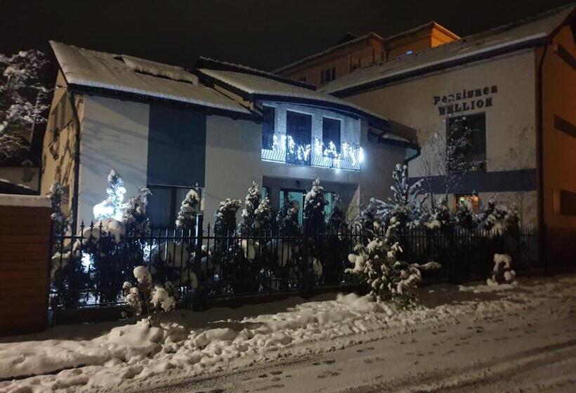Пансион Wellion