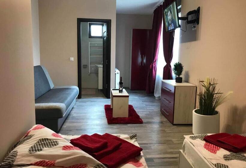 Пансион Wellion